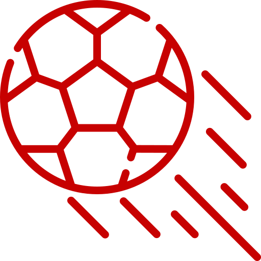 ikoni